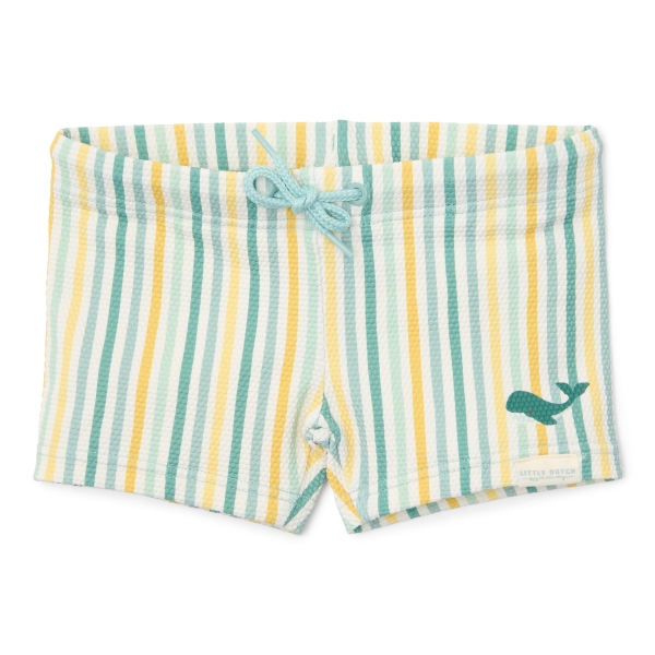 swim-shorts-stripes-multi-colour-CL25038509-CL25038510-CL25038511-CL25038512-product-1 - 2495 x 2495