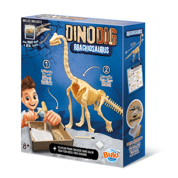 dino-dig-brachiosaurus